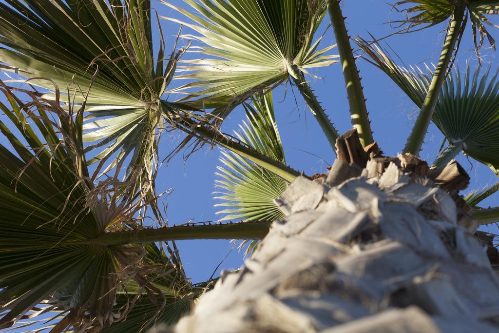 Sud Beach Hotel Fronte Mare By Ria Hotels Marina Di Pulsano Quarto foto