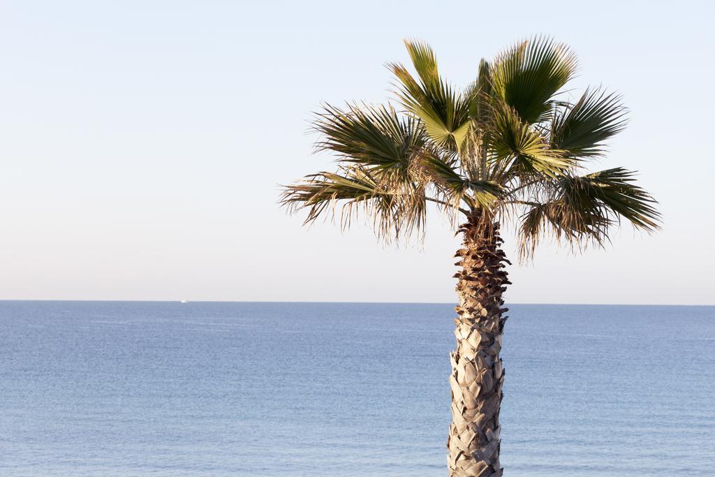 Sud Beach Hotel Fronte Mare By Ria Hotels Marina Di Pulsano Quarto foto